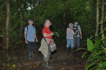 Einer Wanderung durch den Regenwald.