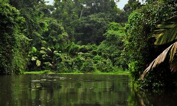 Auf den verwinkelten Kanlen des Tortuga-Nationalparks.