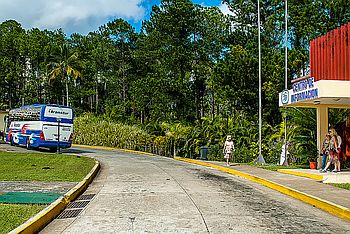 Welcome to the dschungel