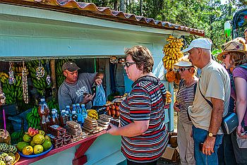 Unterwegs im Nationalpark Topes de Collantes