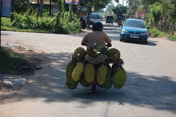 Mercedes Langhauber L 3500