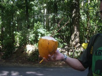 Marktstand am Strassenrand
