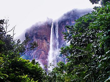 Am Fu� des Angel Falls
